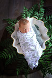 Annabelle Brink 43