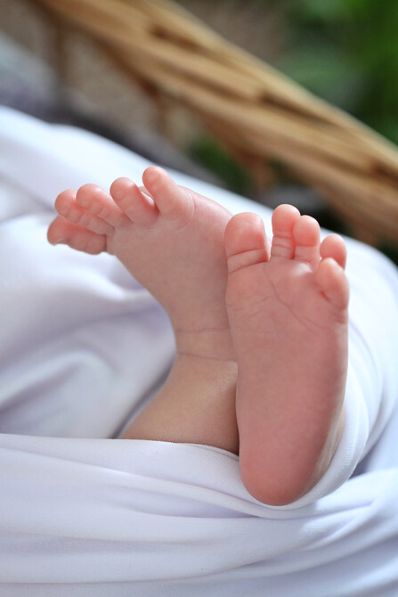 Jayce Groenewald 31
