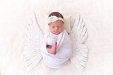 Allison Barwise 24