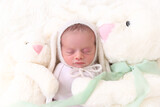 Emilio Ponte 25