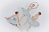 Ballerinas 10