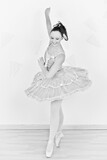 Ballerinas 7
