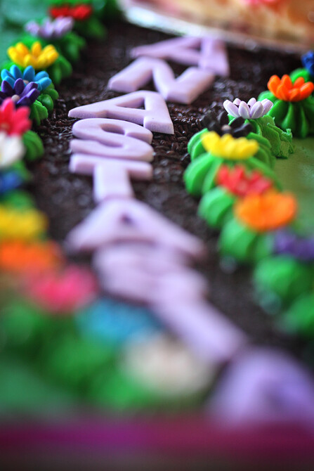 Anastasia's Birthday 57