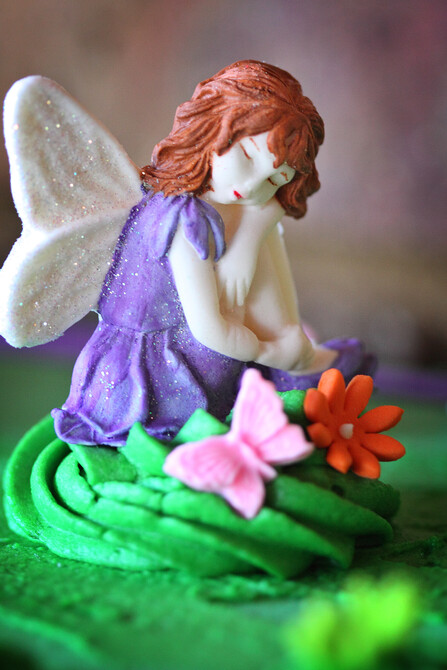 Anastasia's Birthday 7