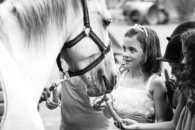 Lune's 9th Birthday 43