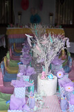 Lune's 9th Birthday 30