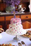 Cornelia's Christening 8