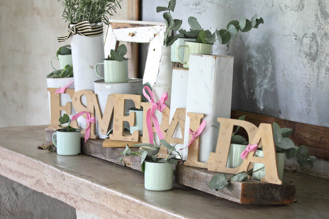 van Niekerk Baby Shower 3