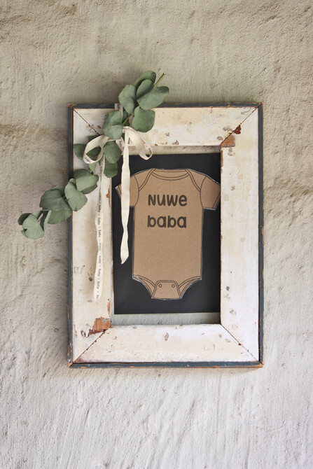van Niekerk Baby Shower 43