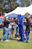 Battle of the Mascots 39