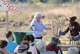 Ludwig's Rose Pruning Demonstration 18