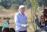 Ludwig's Rose Pruning Demonstration 25