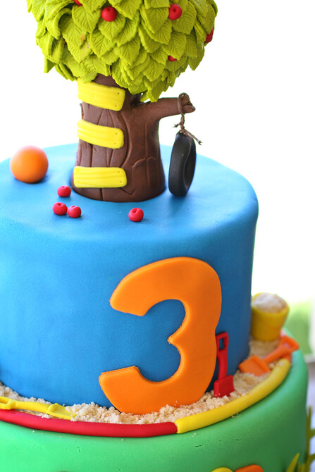 Connor's 3rd Birthday 36