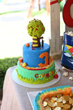 Connor's 3rd Birthday 20