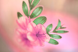 Gezina's Tea Party 21