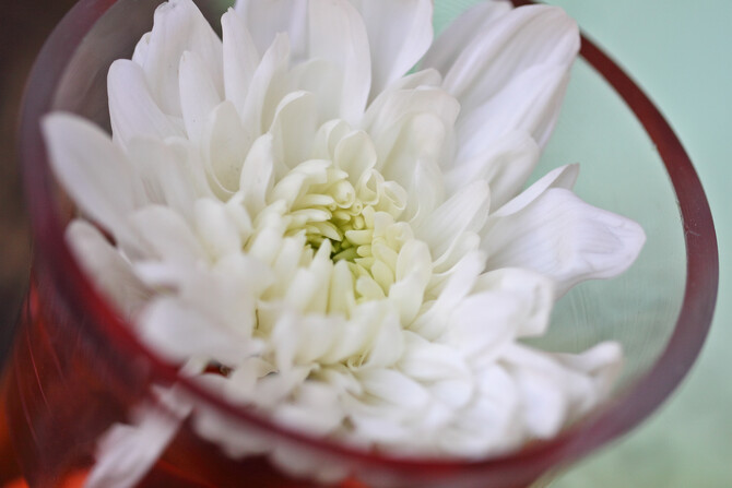 Sune's Stork Tea 45