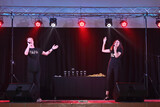 Forte Academy of Performing Arts 184
