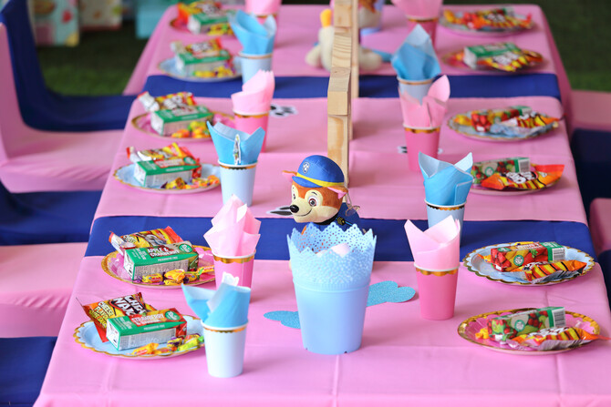 Thori and Rori 4th Birthday 29