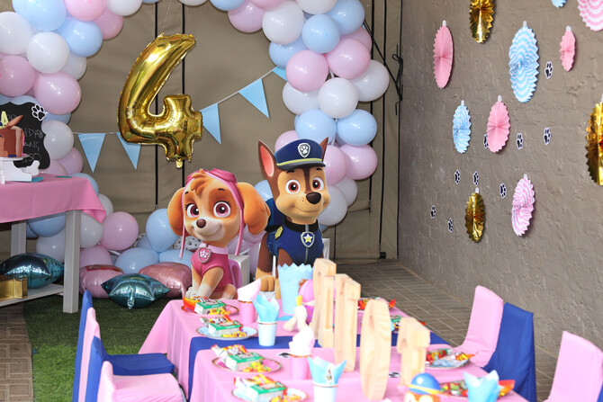 Thori and Rori 4th Birthday 8