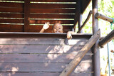 Tshenolo and Kaboentle's Birthday Party 77