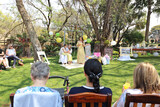 Annique's Kitchen Tea 100