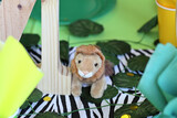 Nkosi's 1st Birthday 22
