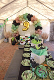 Chrian's 9th Birthday 3