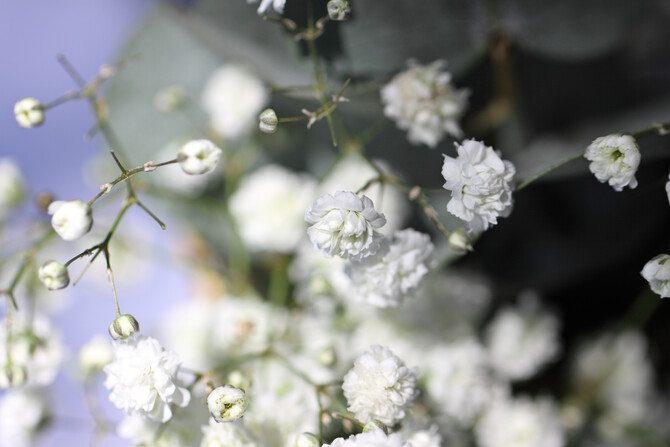 Sune's Bridal Shower 10