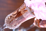 Sune's Bridal Shower 15
