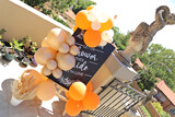 Danielle's Bridal Shower 6