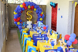 Riley's 5th Birthday 4