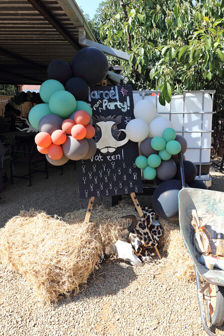 Chane and Marcel's Wedding Showers 9