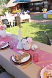 Chane and Marcel's Wedding Showers 24
