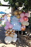 Chane and Marcel's Wedding Showers 4