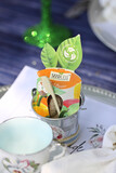 Kiyasha's Bridal Shower 5