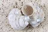 Carat Jewellers Gallery 2