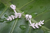 Carat Jewellers Gallery 2 25