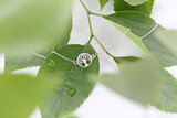Carat Jewellers Gallery 2 30