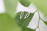 Carat Jewellers Gallery 2 32