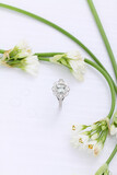 De Wet Jewellers 50