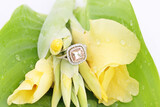 De Wet Jewellers 53