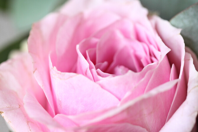 Do Bloom Floral Design 26