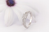 De Wet Jewellers 50