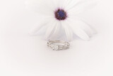De Wet Jewellers 51