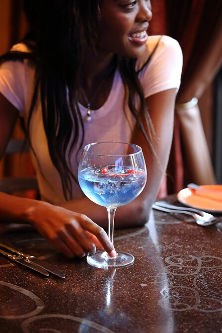 Royal Elephant Hotel Editorial 32