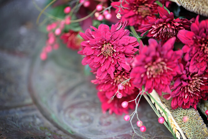 Royal Elephant Styled Shoot 37