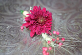 Royal Elephant Styled Shoot 26