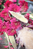 Royal Elephant Styled Shoot 36