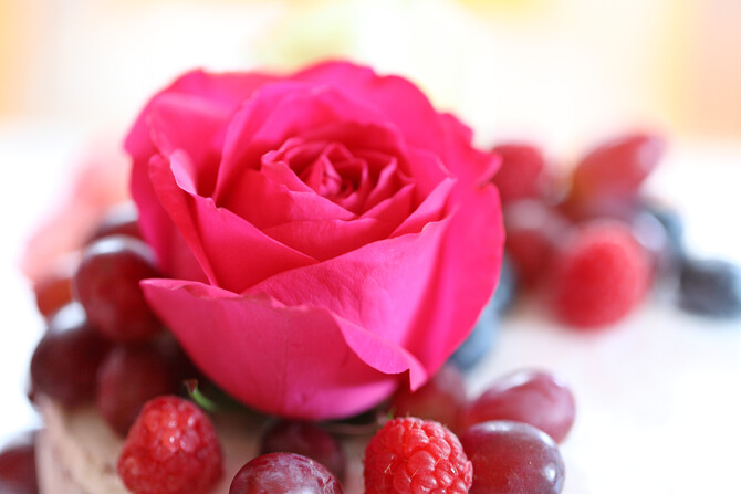 Dainty Delicious 3
