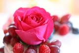Dainty Delicious 3